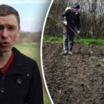 Herbicidy jsou účinným prostředkem k hubení plevele na zeleninové zahradě.