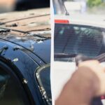 Ptáci už nebudou kydat hnůj na auta: tady je, co