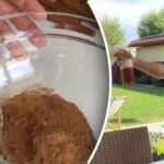 Jak se chránit před hmyzem: recept na domácí skořicový zázračný