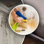 Plísně zmizí za 20 minut: dokonalý prostředek, který problém rychle